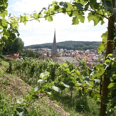 Gasthuis Leo Mühlhausen